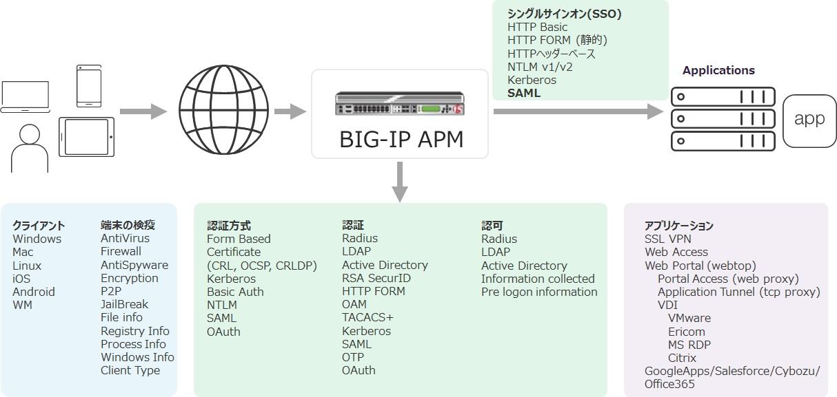 f5_apm_2.jpg