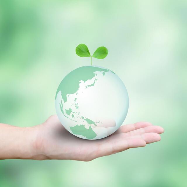 EMS支援コンサルティング