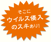 そこにウィルス侵入のスキあり！